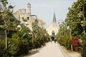 Allée Saint-Catherine à Fontevraud L'Abbaye